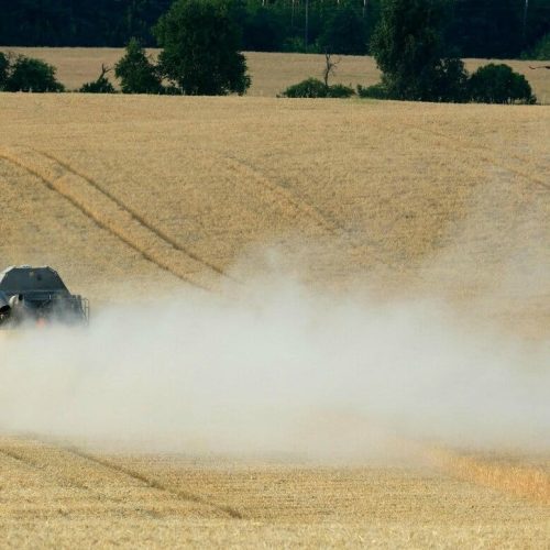 Reforma Tributária: agronegócio brasileiro ganha com redução de 60% em impostos